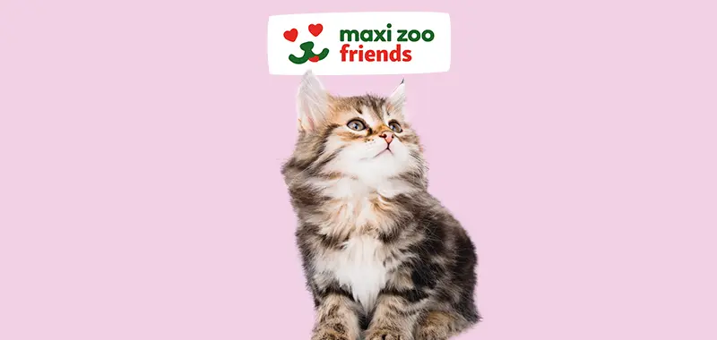Magasin animaux